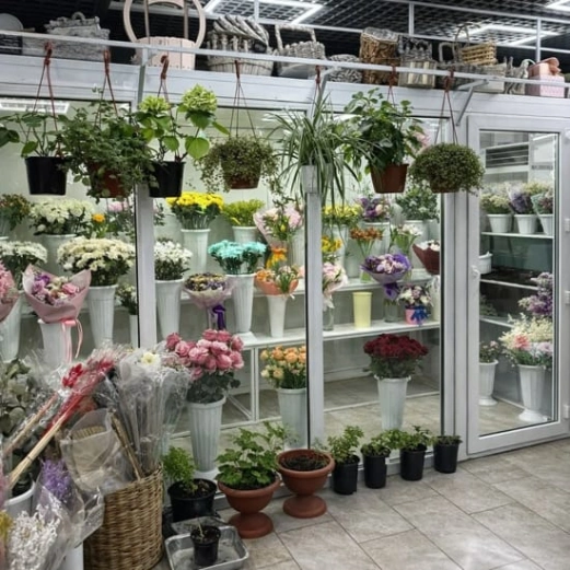 Изображение О нас