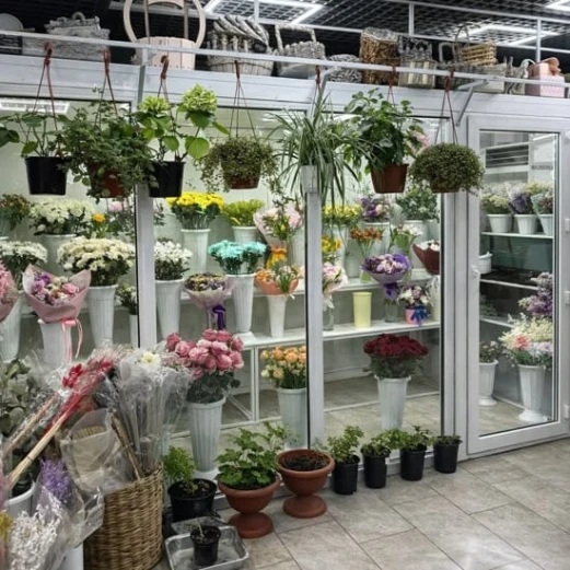 О компании Роза ветров