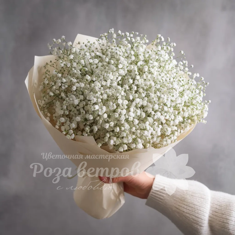 Монобукет из белой гипсофилы