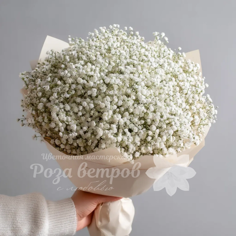 Монобукет из белой гипсофилы