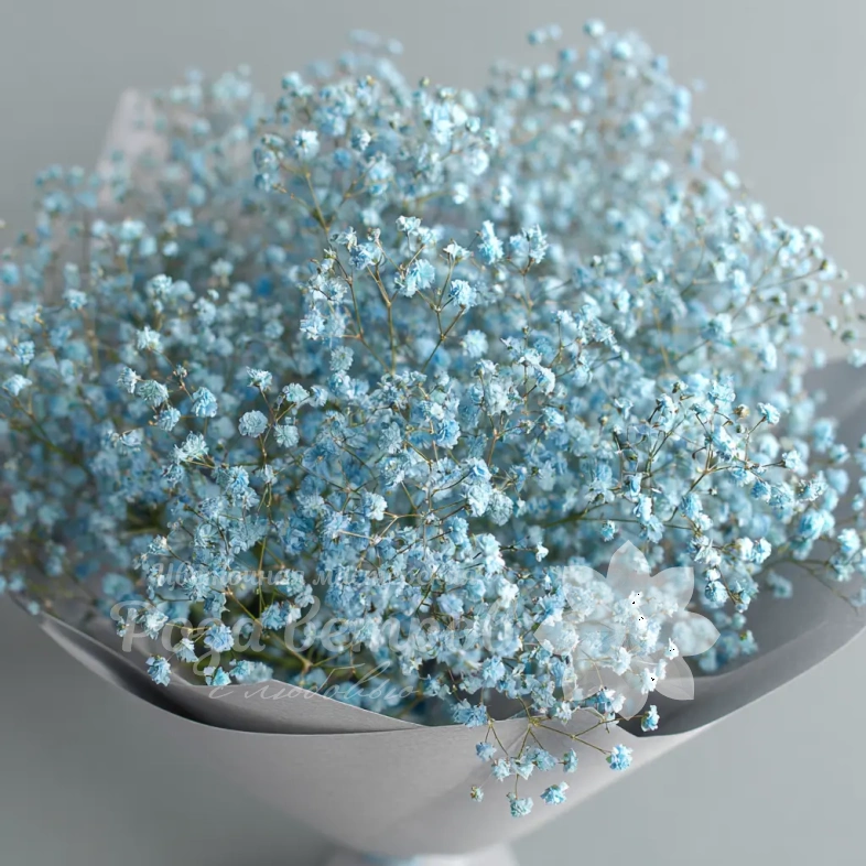 Монобукет из голубой гипсофилы