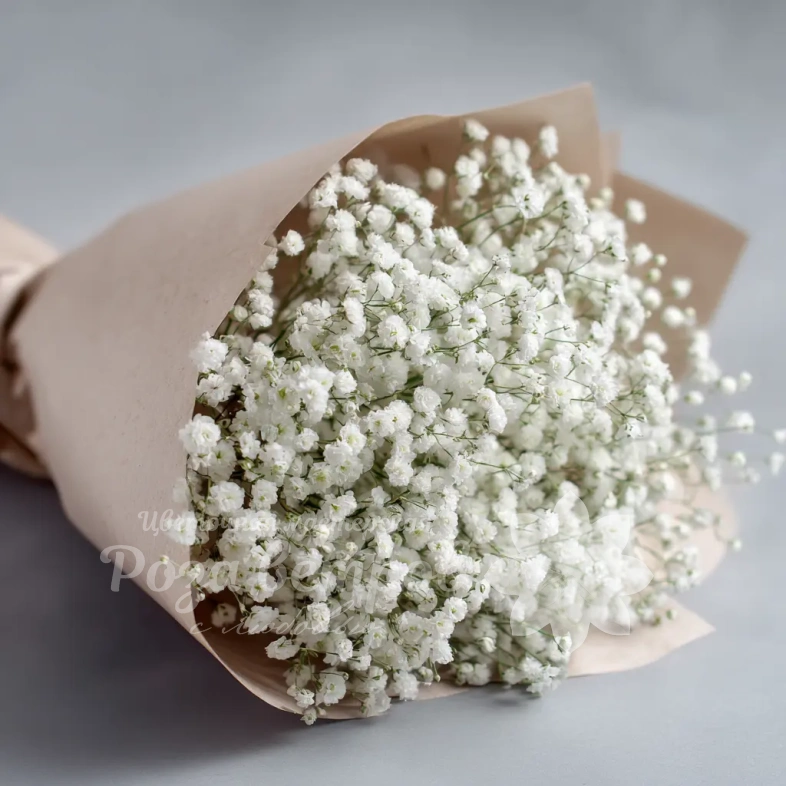 Монобукет из гипсофилы &laquo;Лёгкий штрих&raquo;