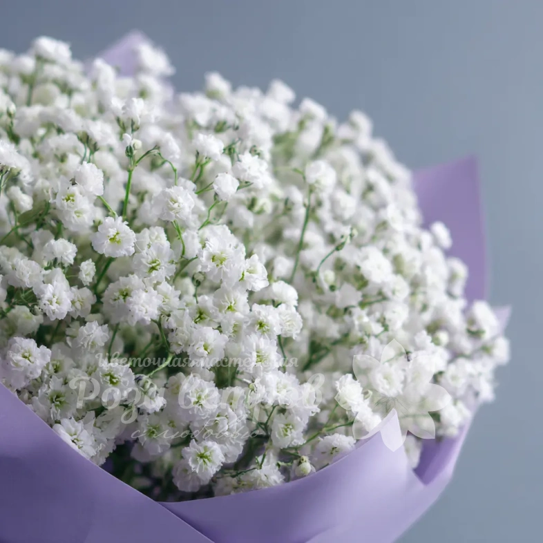 Монобукет из гипсофилы &laquo;Облачная нега&raquo;