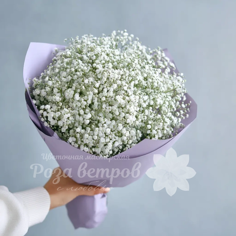 Монобукет из гипсофилы &laquo;Облачная нега&raquo;