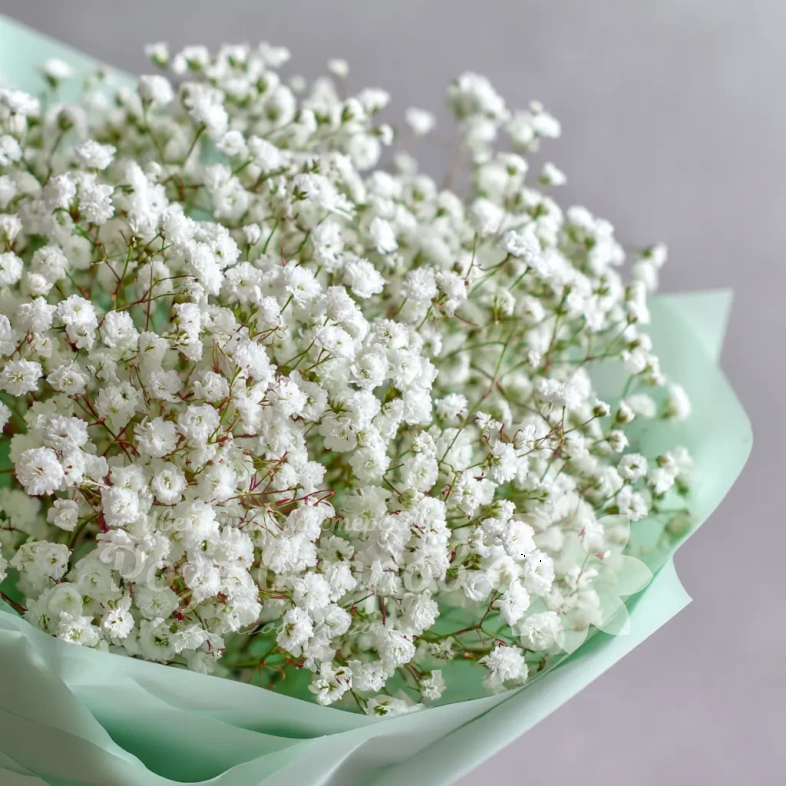 Монобукет из гипсофилы &laquo;Молочная вуаль&raquo;