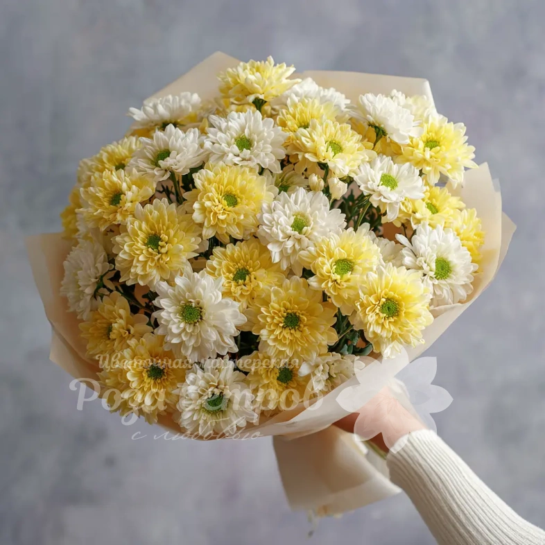 Монобукет из хризантем &laquo;Подарок сентября&raquo;