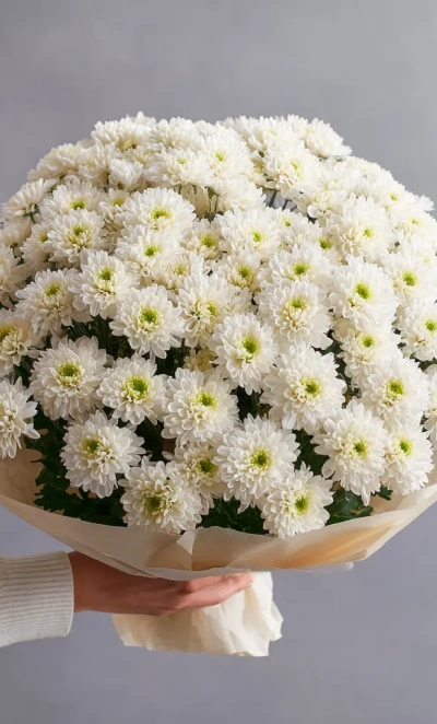 Монобукет из хризантем «Белое облако»