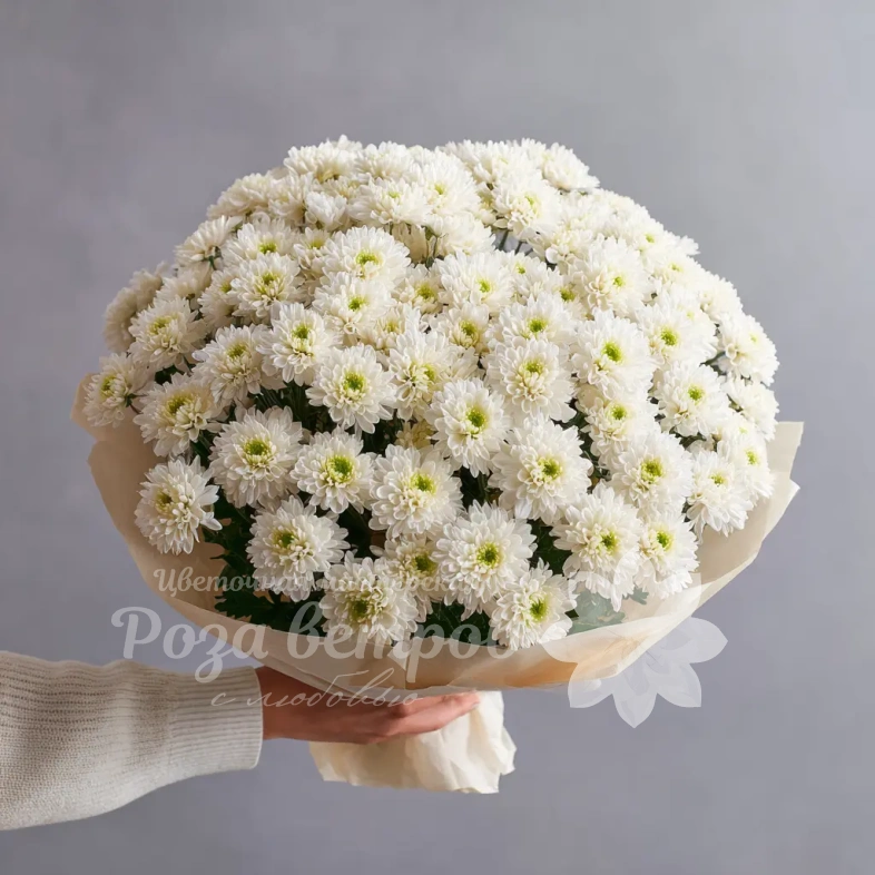 Монобукет из хризантем &laquo;Белое облако&raquo;