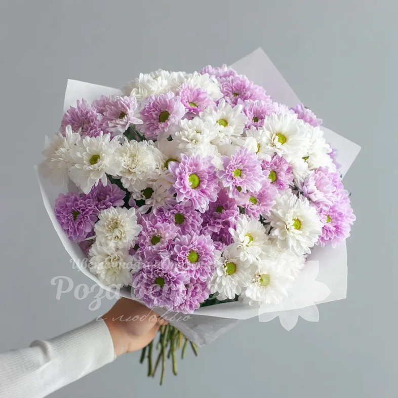 Монобукет из хризантем &laquo;Нежный комплимент&raquo;