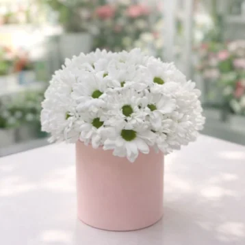 Звездная чистота