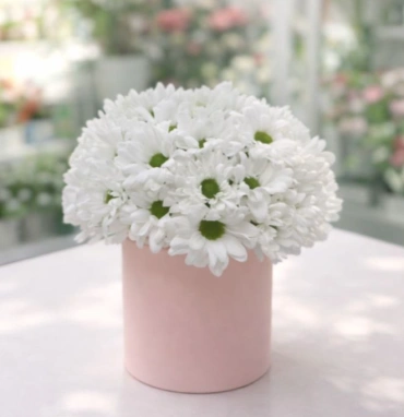 Звездная чистота