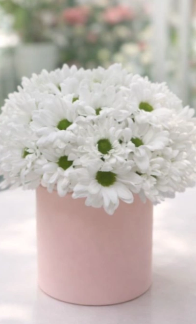 Звездная чистота