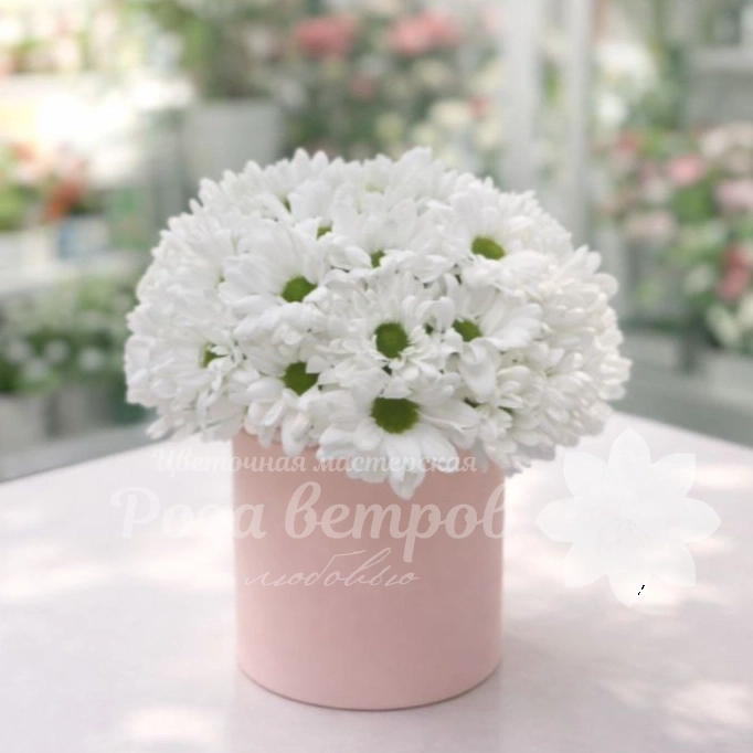 Звездная чистота