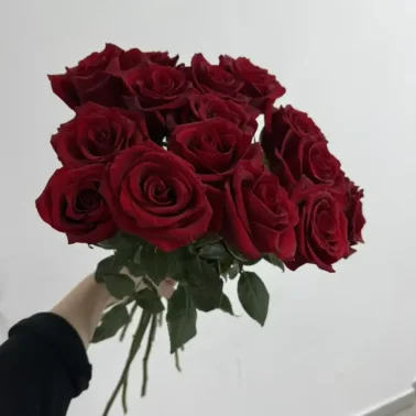 Бордовые розы