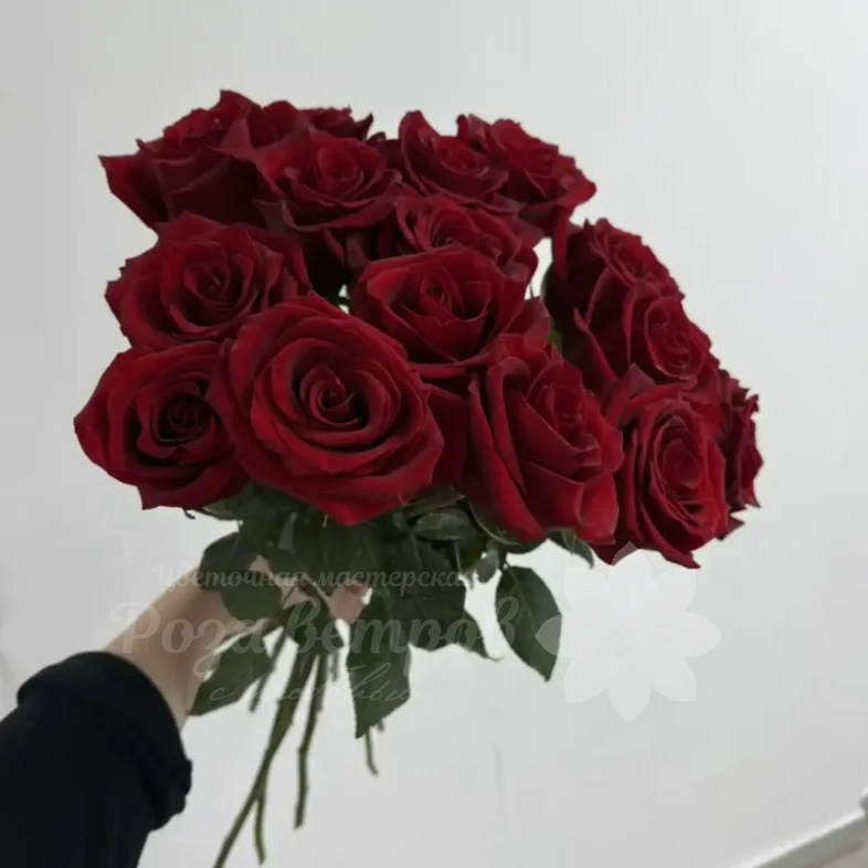 Бордовые розы