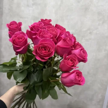 Розы Пинк Флойд