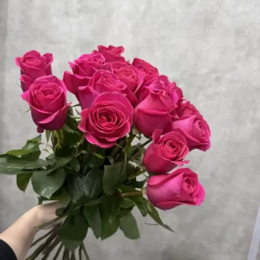 Розы Пинк Флойд