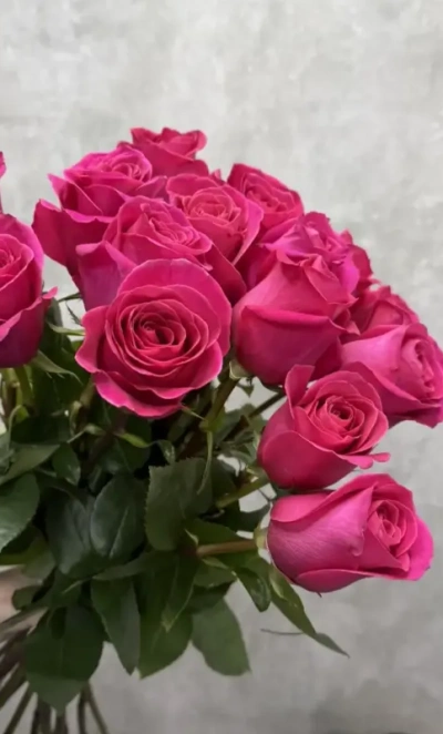 Розы Пинк Флойд