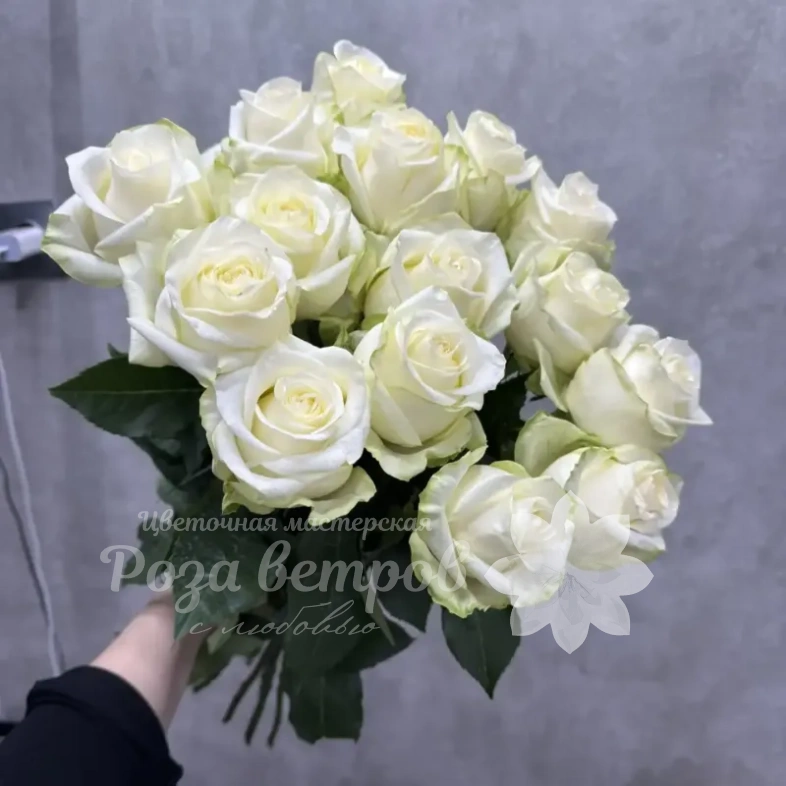 Белые розы