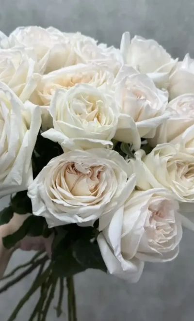 Белые розы классика