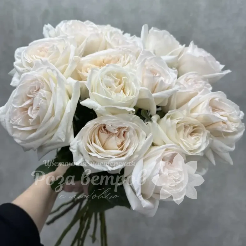 Белые розы классика