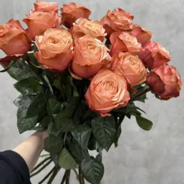 Персиковые розы