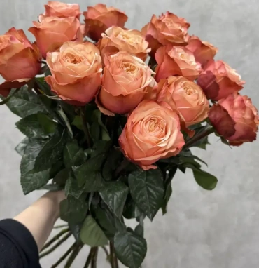 Персиковые розы