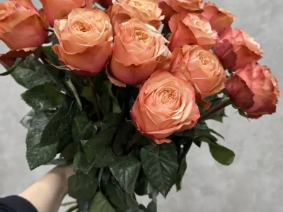 Персиковые розы