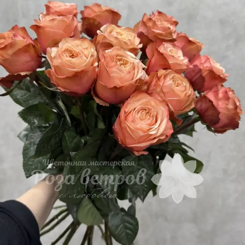 Персиковые розы