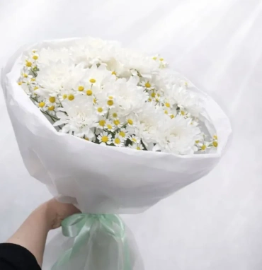 Нежное облако ромашек