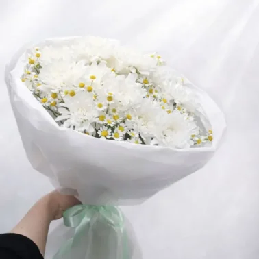 Нежное облако ромашек