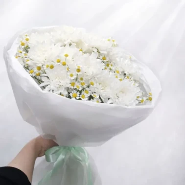 Нежное облако ромашек