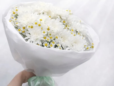 Нежное облако ромашек