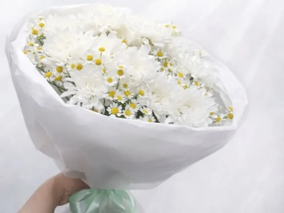 Нежное облако ромашек