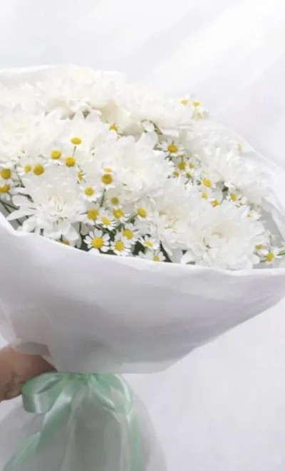 Нежное облако ромашек