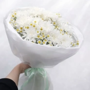 Нежное облако ромашек 1