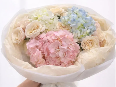 Нежное облако гортензий