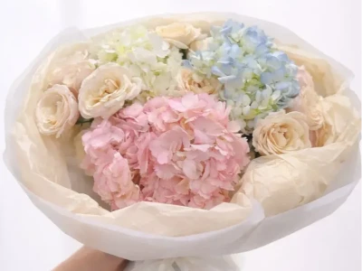 Нежное облако гортензий