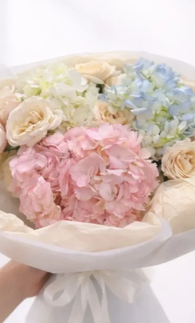 Нежное облако гортензий