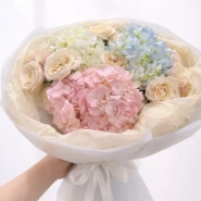 Нежное облако гортензий 1