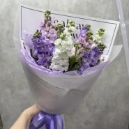 Лавандовые шёпоты 0