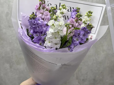 Лавандовые шёпоты