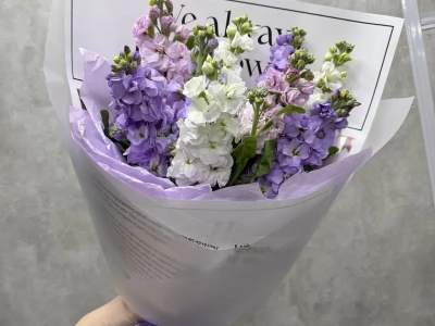 Лавандовые шёпоты