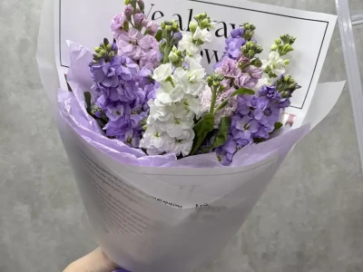 Лавандовые шёпоты