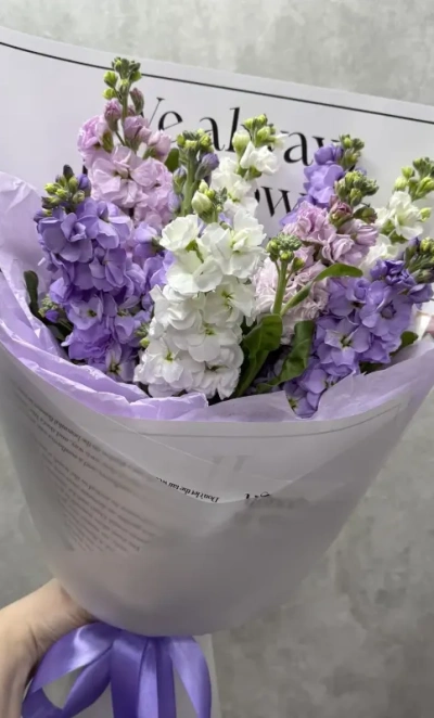 Лавандовые шёпоты