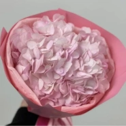 Розовая Зефирка 0