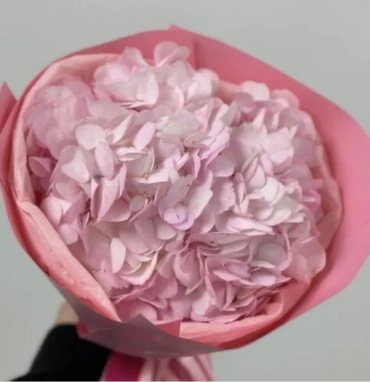 Розовая Зефирка