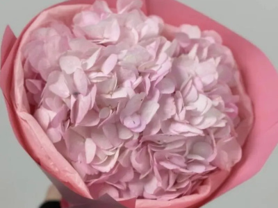 Розовая Зефирка