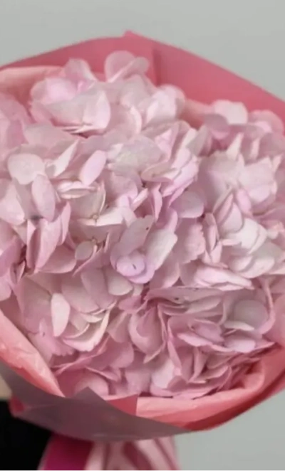 Розовая Зефирка