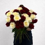 Контрастные розы 0